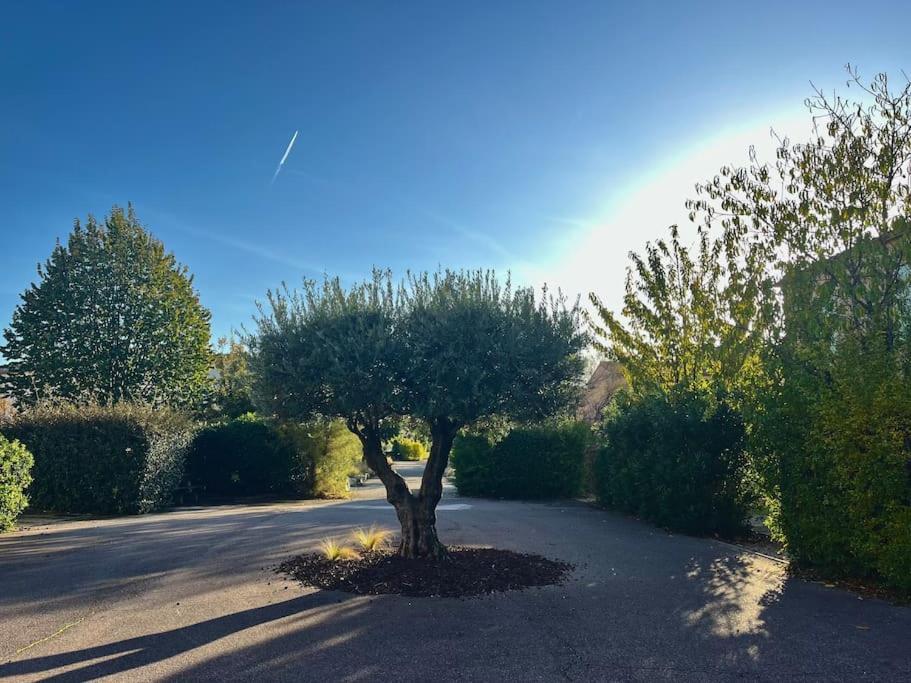 Maison Village Vacances Demeures Du Ventoux Aubignan Eksteriør billede